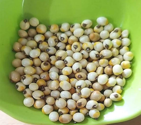 Original Tella Guriginjalu - 1 Pc