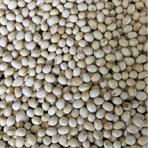 Original Tella Guriginjalu - 1 Pc
