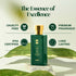 Ajmal Perfumes India Oud Forest Perfume for Unisex