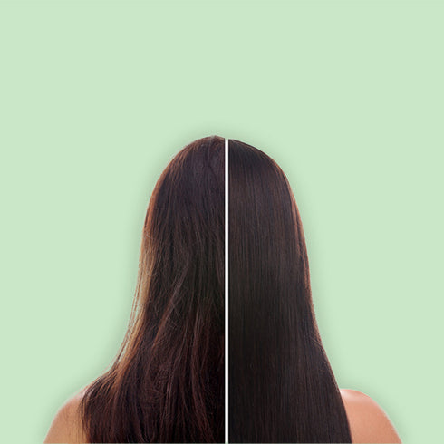 Theearthcollective in Overnight Hair Illuminator Add Shine to Porous Strands Pine Bark Soya Protein & Rosemary