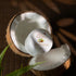 Hue And Shades Organic Oil Face Cleansing Balm