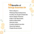 Keya Seth Aromatherapy Orange Facewash Hydrating Moisturizing