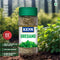 Keya Oregano Freeze Dried Seasoning For Pizza Pasta Marinades And Soups No Artificial Flavour And Colours Sprinkler
