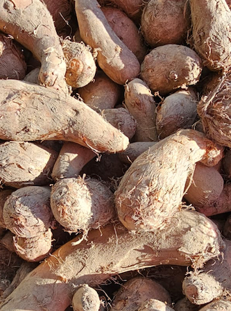 Hetha Organic Arbi / Taro root