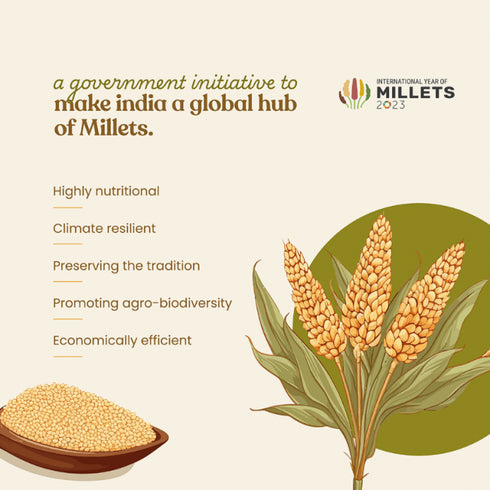 Bharat Vedica Organic Pearl Millet Organic Bajra