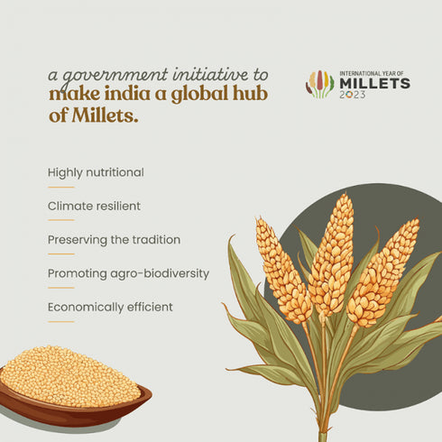 Bharat Vedica Organic Proso Millet Organic Chena