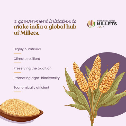 Bharat Vedica Organic Sorghum Millet Organic Jowar
