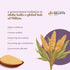 Bharat Vedica Organic Sorghum Millet Organic Jowar