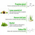 Keya Seth Aromatherapy Fresh Look Aloe Vera Face Wash