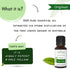 Mystiq Living Originals Tea Tree Essential Oil