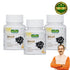 Jeena Sikho Shilajit Tablets Energy Stamina Immunity and Mental Focus Support