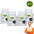 Jeena Sikho Shilajit Tablets Energy Stamina Immunity and Mental Focus Support