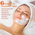 Shills Professional Facial Kit 90g pkt