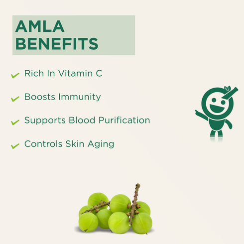 Vitro Naturals I Am Tasty Amla Candy