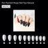 Shills Professional PKT 500pcs Pen Pointed Shape Nail Tips Natural