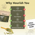 Nourish You Pumpkin seeds | Zinc Rich | Magnesium Rich