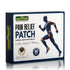 Jeena Sikho Pain Relief Patch