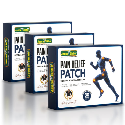 Jeena Sikho Pain Relief Patch