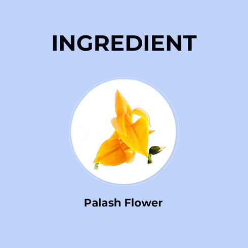 Blue Tea Palash Flower Tea | 20g | Pet Jar
