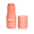 Insight On The Go Blush Stick