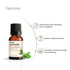 Vasuestore Vasu Aromatics Peppermint Essential Oil 100 Pure and Natural