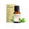 Vasuestore Vasu Aromatics Peppermint Essential Oil 100 Pure and Natural