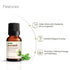 Vasuestore Vasu Aromatics Combo of Basil Peppermint Lemon Lemongrass Essential Oil