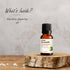 Vasuestore Vasu Aromatics Combo of Basil Peppermint Lemon Lemongrass Essential Oil