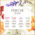 Insight Eau De Perfume Combo - Pack Of 4