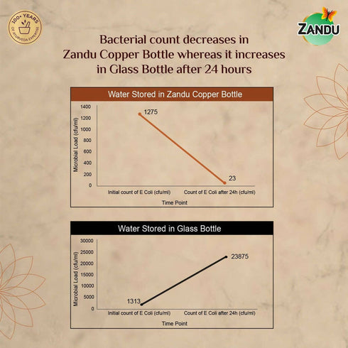 Zandu Copper Water Bottle|950ml