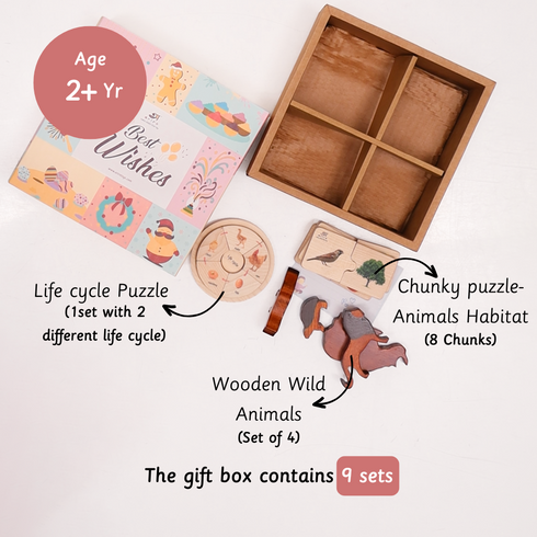 Ariro Toys Playful Dreamers Box