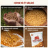 Jabsons Foods Gud Chana Roasted