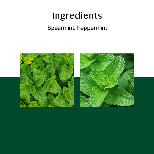 Vahdam Tea Pure Mint Herbal Tea Tisane