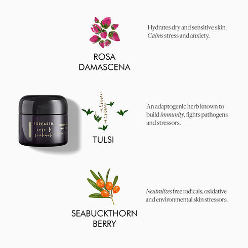 Purearth Rose And Seabuck Replenishing Face Cream