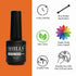Shills Professional Jelly Gel Polish