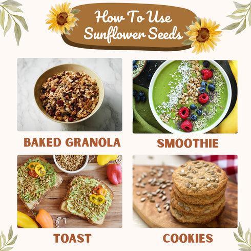 Millet Mania Sunflower Seeds