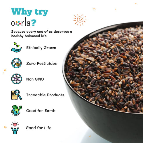 Prakruthi Sivappu Kavuni Rice