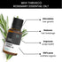 Thriveco Rosemary Essential Oil Pack of 2 15ml each