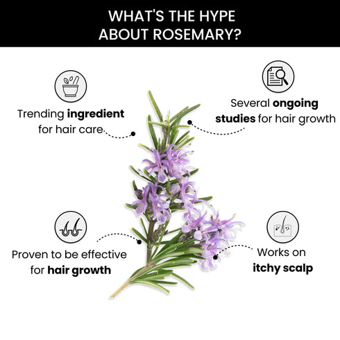 Thriveco Rosemary Essential Oil Pack of 2 15ml each