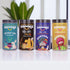 SNAAQZ Family Sharing Combo (Pack of 4)