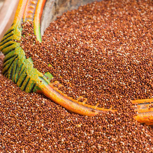 Nutty Yogi Organic Finger Millet / Ragi