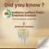Clove Oral Care Revive Toothpaste