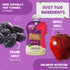 Rorosaur Prune Delight Baby Puree