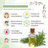 Keya Seth Aromatherapy Rosemary Lavender Coconut Body Oil
