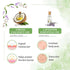 Keya Seth Aromatherapy Rosemary Lavender Coconut Body Oil