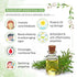 Keya Seth Aromatherapy Rosemary Lavender Coconut Body Wash