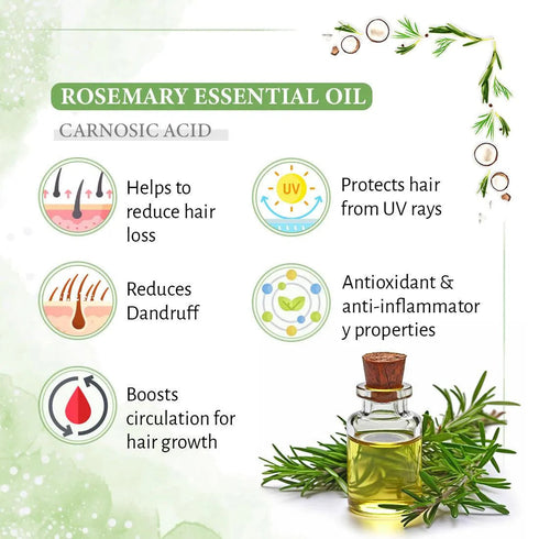 Keya Seth Aromatherapy Rosemary Tea Tree Coconut Water Mist Spray