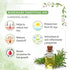 Keya Seth Aromatherapy Rosemary Tea Tree Coconut Water Mist Spray