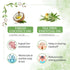 Keya Seth Aromatherapy Rosemary Tea Tree Coconut Water Mist Spray
