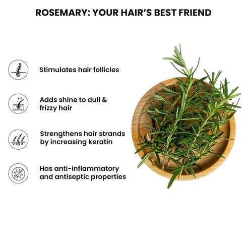 Thriveco Rosemary Water Hair Spray Pack of 3 100ml each